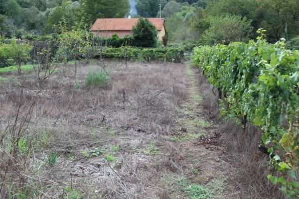 Terreno en calle Gabino Bugallal, 1
