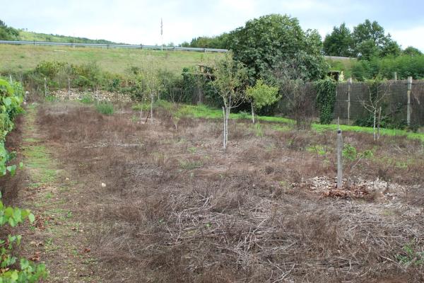 Terreno en calle Gabino Bugallal, 1