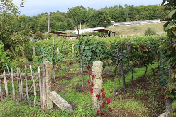 Terreno en calle Gabino Bugallal, 1