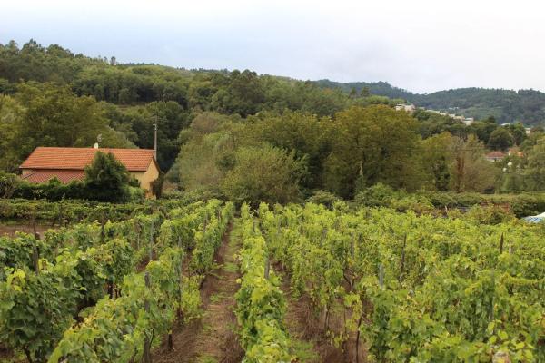 Terreno en calle Gabino Bugallal, 1