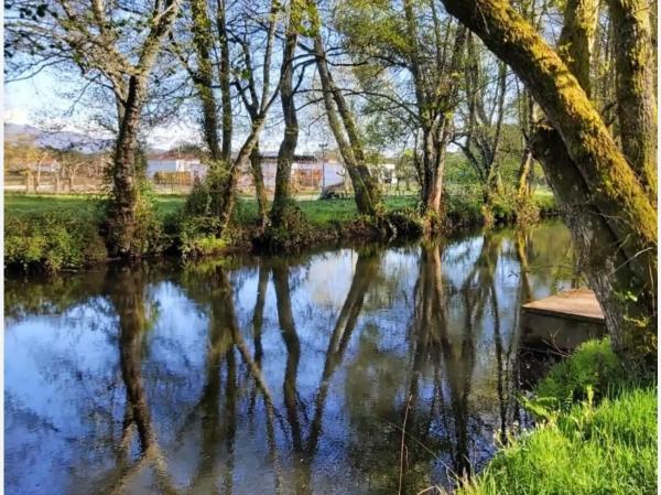 Terreno en calle Foncuberta