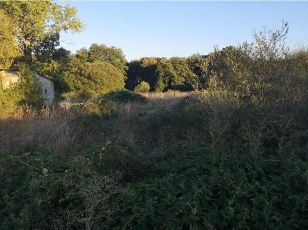 Terreno en calle Foncuberta