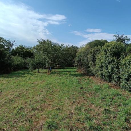 Terreno en calle Cardenal Quiroga Palacios, 19 d