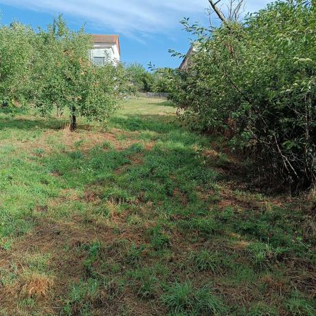 Terreno en calle Cardenal Quiroga Palacios, 19 d