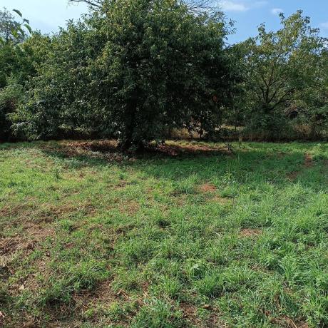 Terreno en calle Cardenal Quiroga Palacios, 19 d