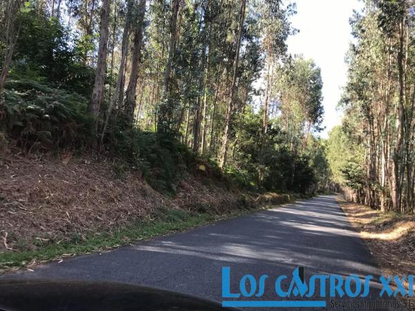 Terreno en calle Principal