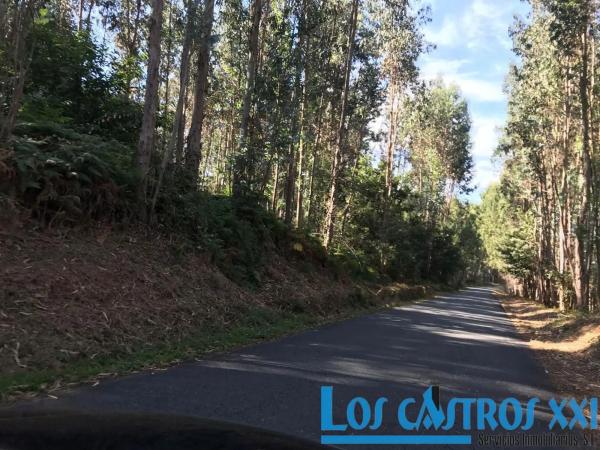 Terreno en calle Principal