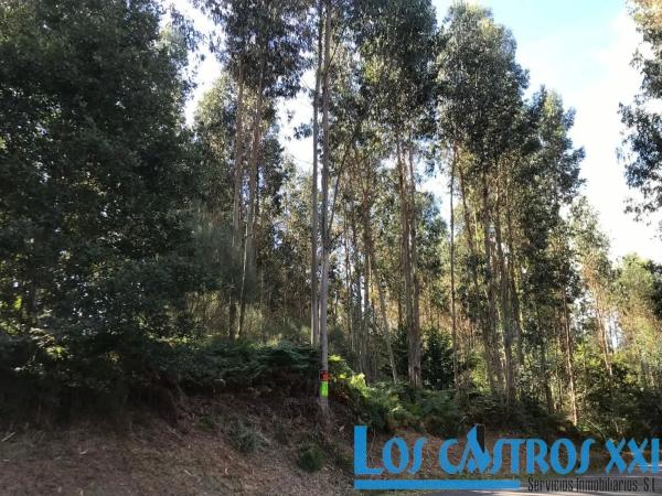 Terreno en calle Principal