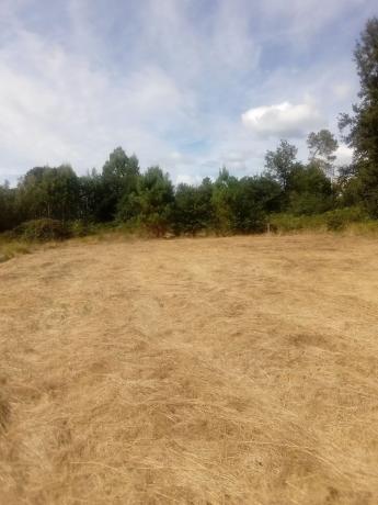 Terreno en Bouzas s/n