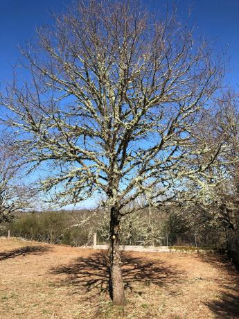 Terreno en Vilariño frío - carretera de Vigueira s/n, km 0