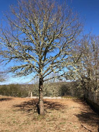 Terreno en Vilariño frío - carretera de Vigueira s/n, km 0