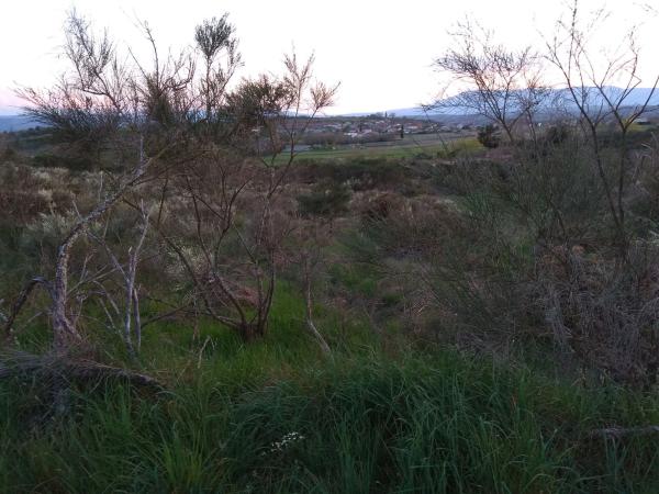 Terreno en Flariz s/n