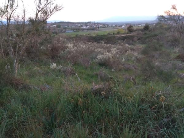 Terreno en Flariz s/n