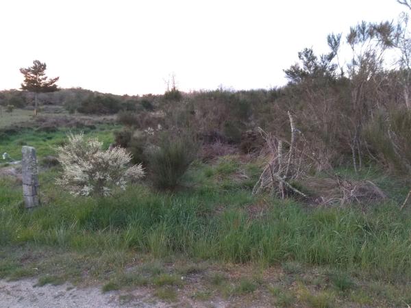 Terreno en Flariz s/n