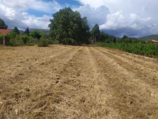 Terreno en carretera ou, 1014