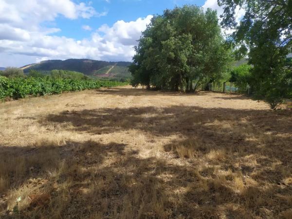 Terreno en carretera ou, 1014