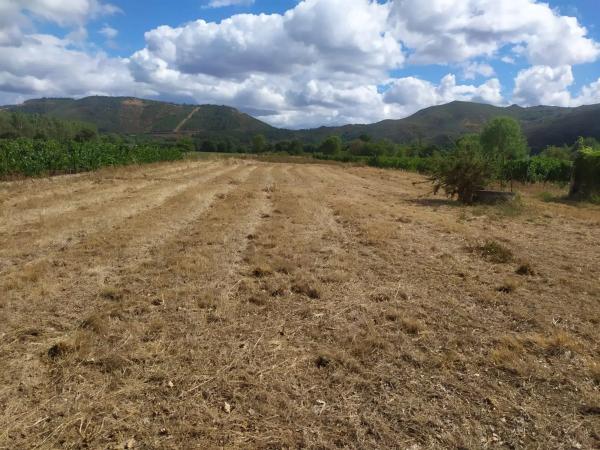 Terreno en carretera ou, 1014