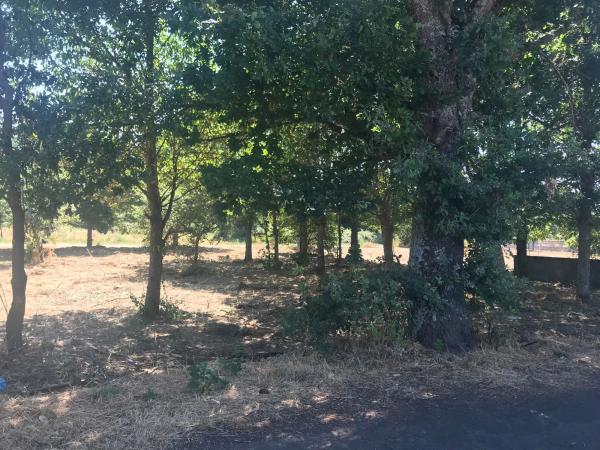 Terreno en vences s/n vences