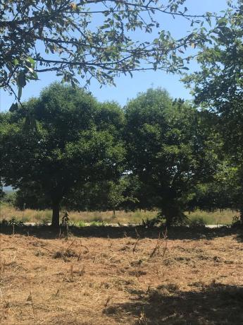 Terreno en vences s/n vences