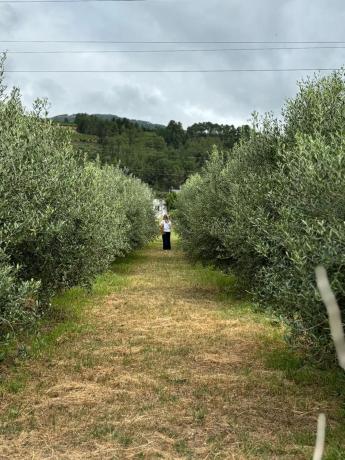 Terreno en carretera Vegamolinos, 20 PolParcela