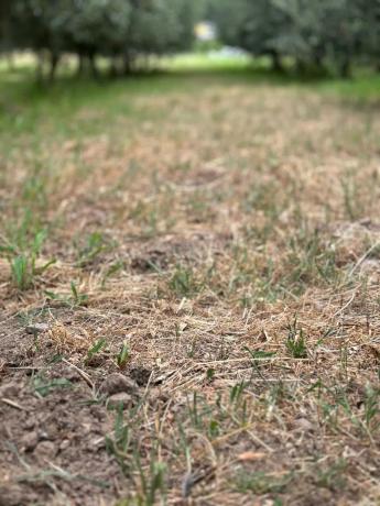 Terreno en carretera Vegamolinos, 20 PolParcela