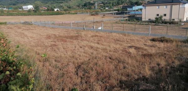 Terreno en carretera Rubiana s/n