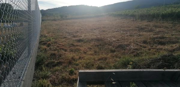 Terreno en carretera Rubiana s/n