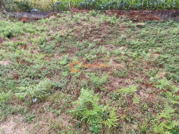 Terreno en O Carballiño