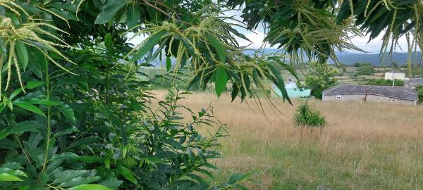 Terreno en Vilaseco s/n