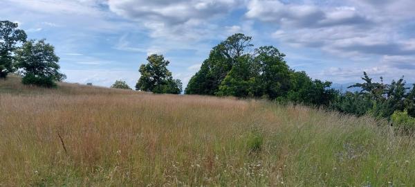Terreno en Vilaseco s/n