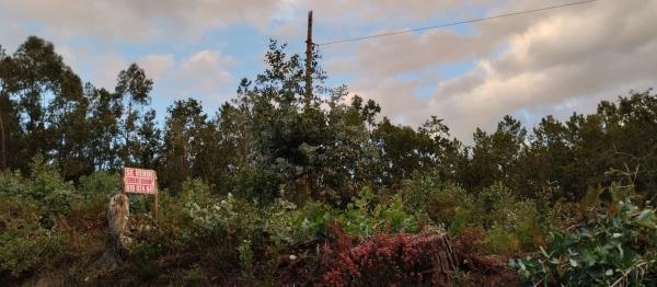 Terreno en Dornela, 1