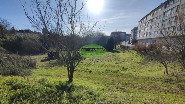 Terreno en O Carballiño