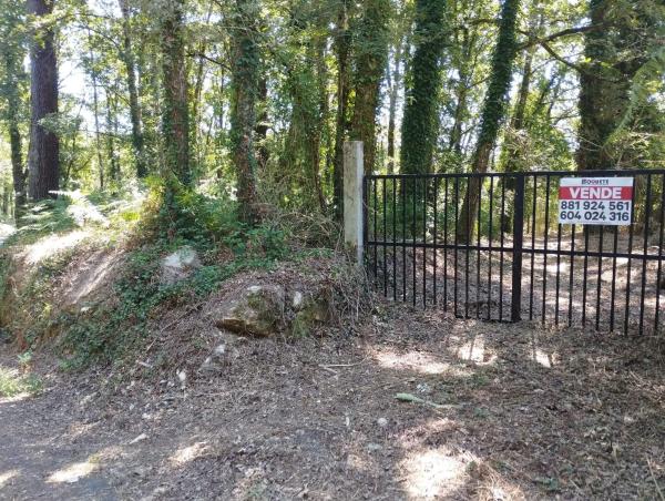 Terreno en Caldas de Partovia