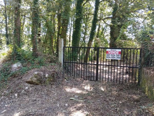 Terreno en Caldas de Partovia