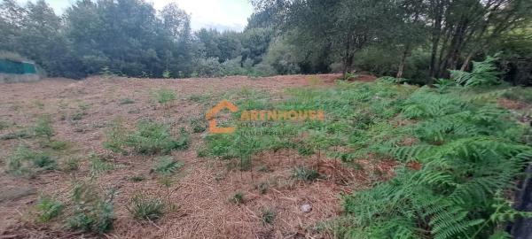 Terreno en O Carballiño