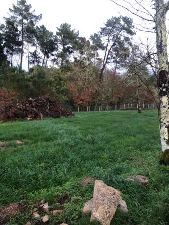 Terreno en Porto de Eguas s/n