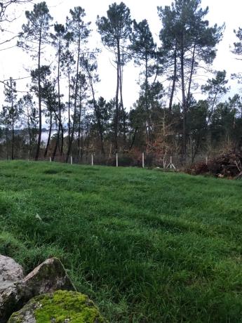 Terreno en Porto de Eguas s/n