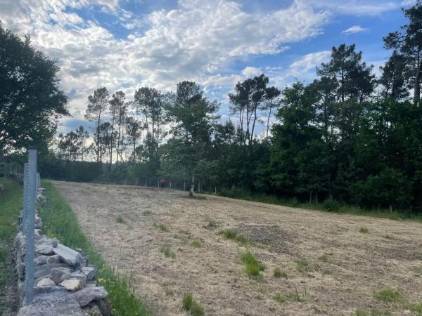 Terreno en Porto de Eguas s/n