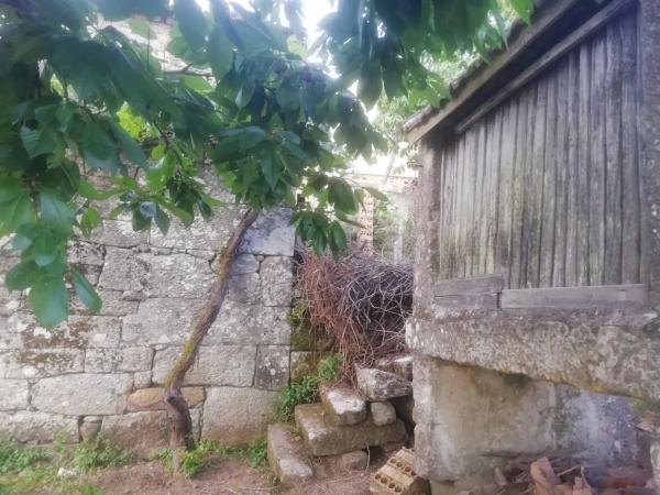 Terreno en a Reguenga, 5