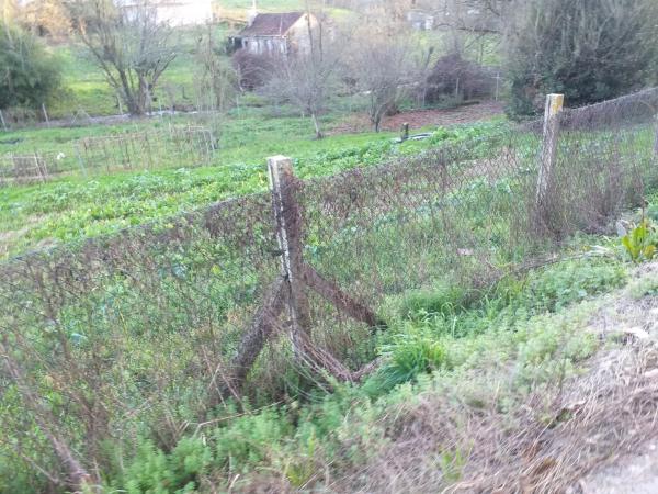 Terreno en calle Aquilino Sánchez, 12
