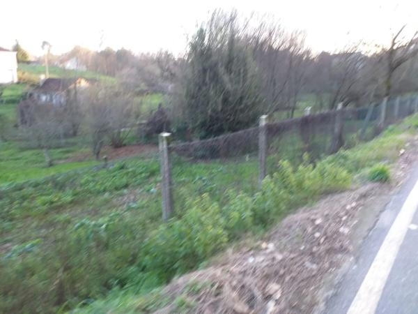 Terreno en calle Aquilino Sánchez, 12