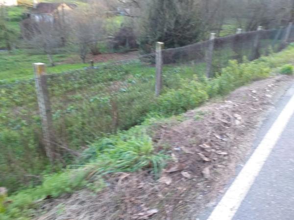 Terreno en calle Aquilino Sánchez, 12