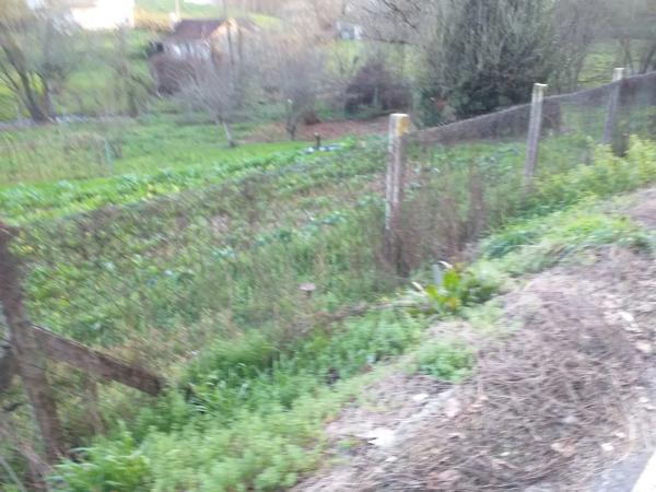 Terreno en calle Aquilino Sánchez, 12