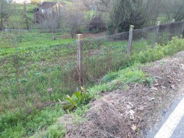 Terreno en calle Aquilino Sánchez, 12