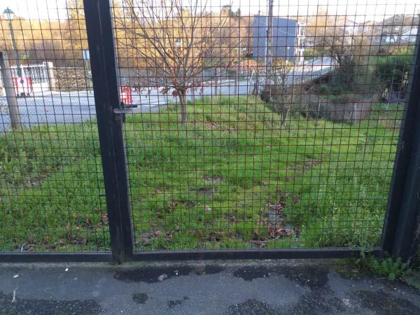 Terreno en calle Aquilino Sánchez, 12