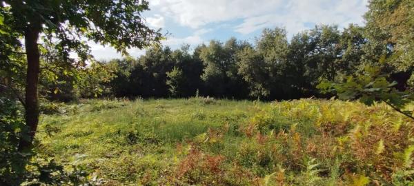 Terreno en calle Hermide