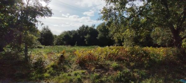 Terreno en calle Hermide