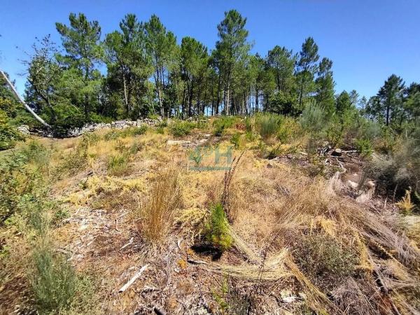 Terreno en Paderne de Allariz