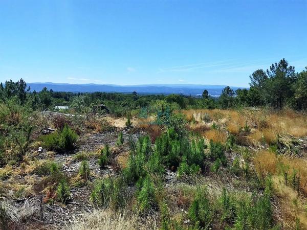 Terreno en Paderne de Allariz