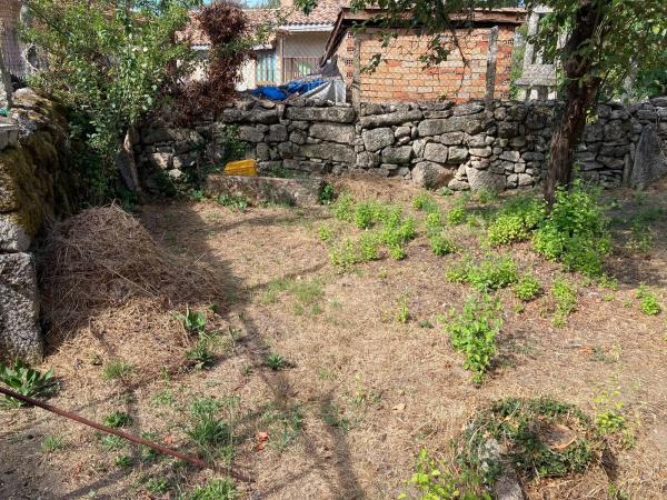 Terreno en calle Saa s/n Sn